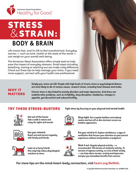 Stress Strain Body Brain Infographic